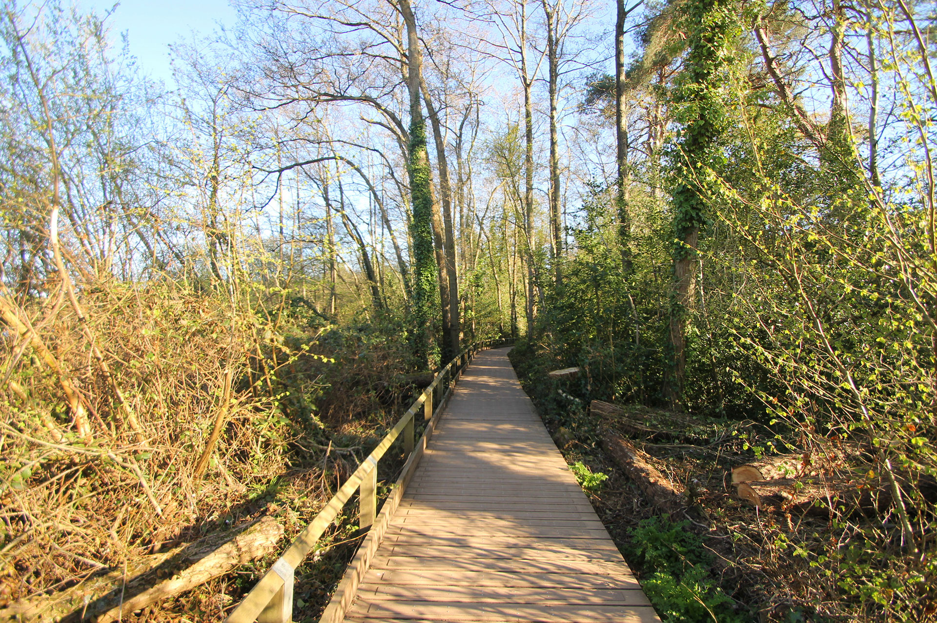 Duchess Court Fleet Imagery - Parkland